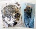 Салфетка с рисунком №77